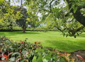 Terrenos de Venta en Puembo, Zona San Pedro — imagen 5
