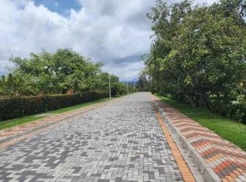 Terrenos de Venta en Puembo, Zona San Pedro — imagen 3