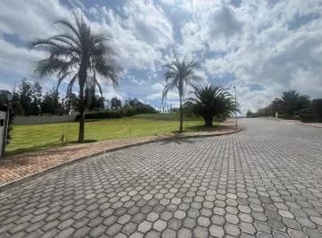 Terreno de 1243 m² en Venta en Puembo, Zona Colegio Americano — imagen 5