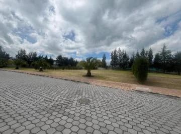 Terreno de 1243 m² en Venta en Puembo, Zona Colegio Americano — imagen 3