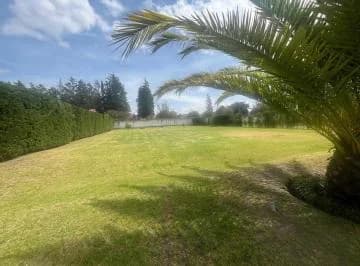 Terreno de 1243 m² en Venta en Puembo, Zona Colegio Americano — imagen 2