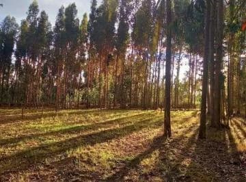 Venta Terreno en Lasso. Inf. Cbr Carla del Pino, Cotopaxi — imagen 5