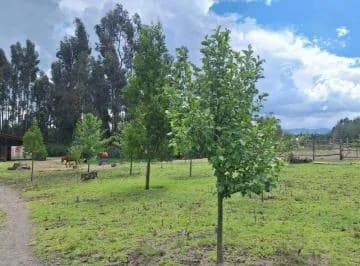 Venta Terreno en Lasso. Inf. Cbr Carla del Pino, Cotopaxi — imagen 2