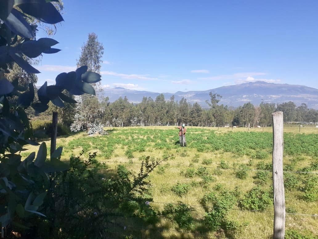 Terreno en venta en Quito, Pichincha