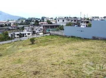 Venta de Terreno Sector La Armenia — imagen 2