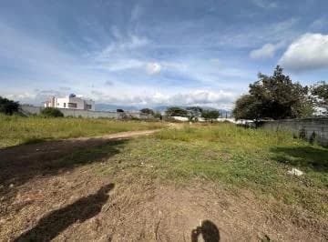 Terreno en Venta de 4150 m² en Tumbaco con Servicios Básicos — imagen 5