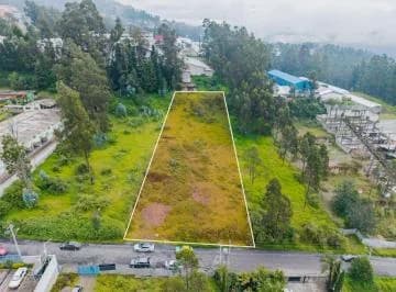 Terreno en Venta 2500 m² – Sector La Armenia — imagen 5