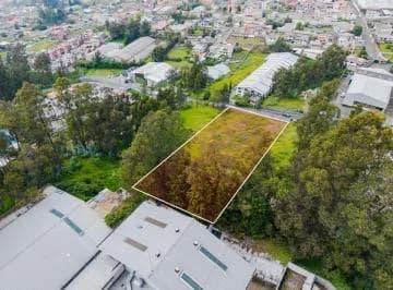 Terreno en Venta 2500 m² – Sector La Armenia — imagen 4
