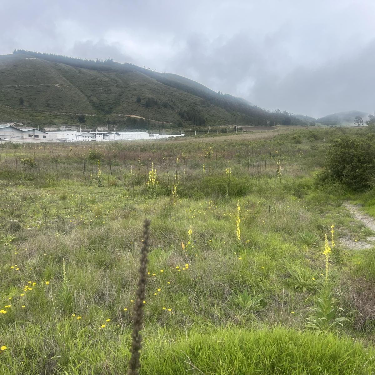 Terreno en venta en Quito, Pichincha