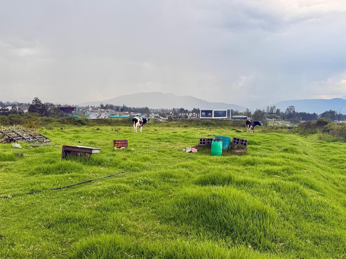 Terreno en venta en Quito, Pichincha