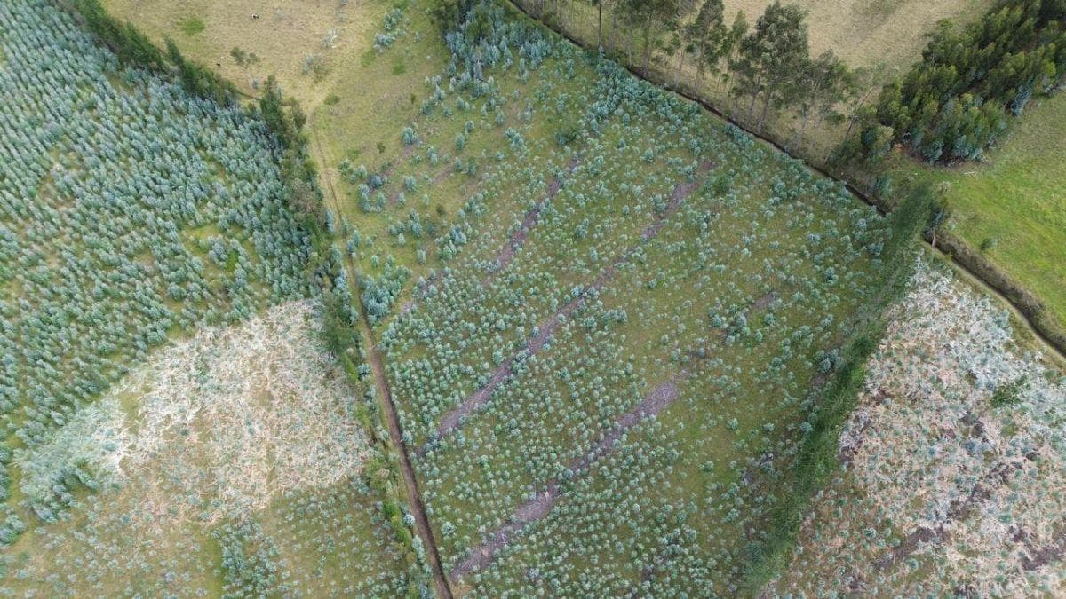 Terreno en venta en Cayambe, Pichincha