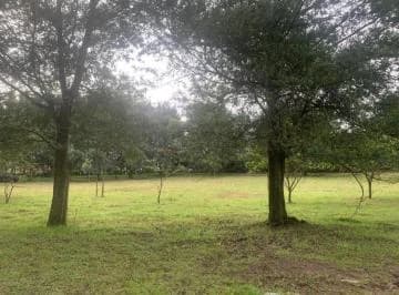 Oportunidad de Inversión en Yaruquí - Terreno de 20.000 m² — imagen 4