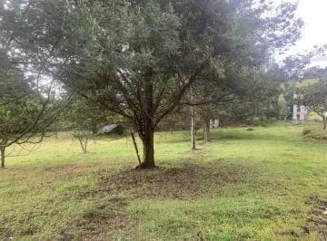 Oportunidad de Inversión en Yaruquí - Terreno de 20.000 m² — imagen 3