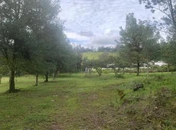 Oportunidad de Inversión en Yaruquí - Terreno de 20.000 m² — imagen 2