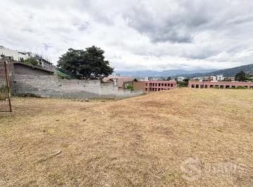 Terreno en Cumbayá — imagen 5