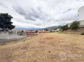 Terreno en Cumbayá — imagen 4