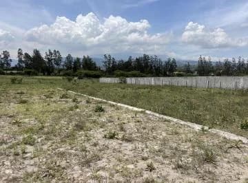 Venta 8 Terrenos en Puembo en Lotización de Primara — imagen 5