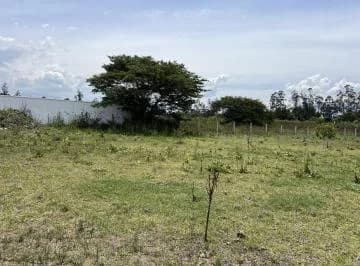 Venta 8 Terrenos en Puembo en Lotización de Primara — imagen 4