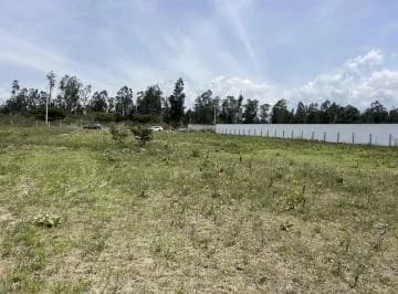 Venta 8 Terrenos en Puembo en Lotización de Primara — imagen 3