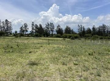Venta 8 Terrenos en Puembo en Lotización de Primara — imagen 2