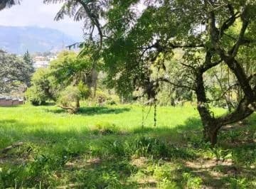 Terreno de 5418 m² en Venta en Cumbayá — imagen 4