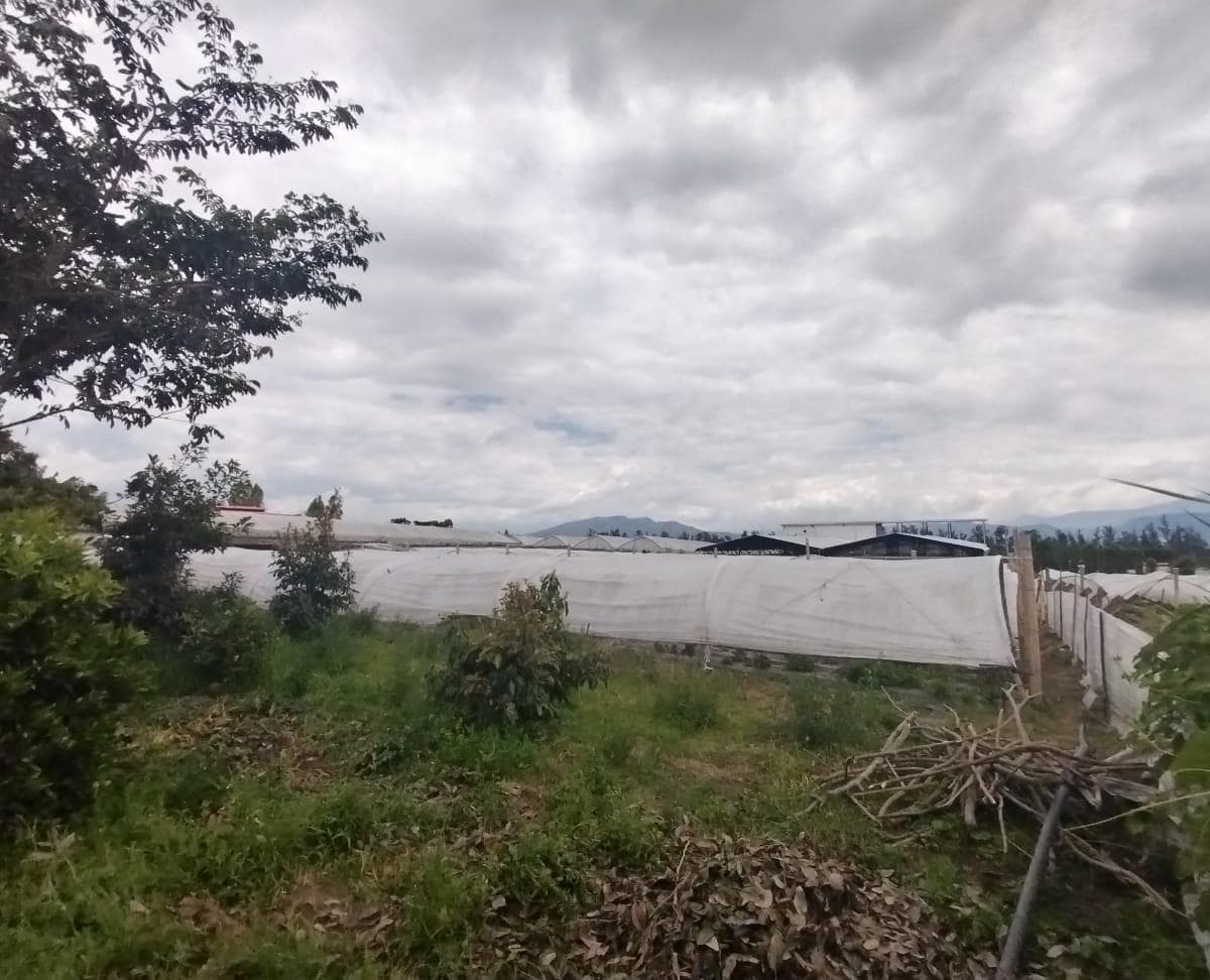 Terreno en venta en Quito, Pichincha