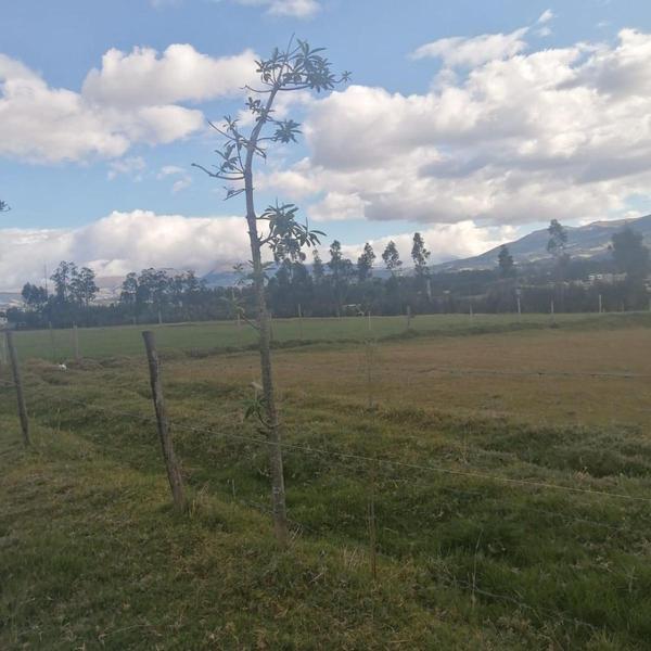 Terreno en venta en Quito, Pichincha
