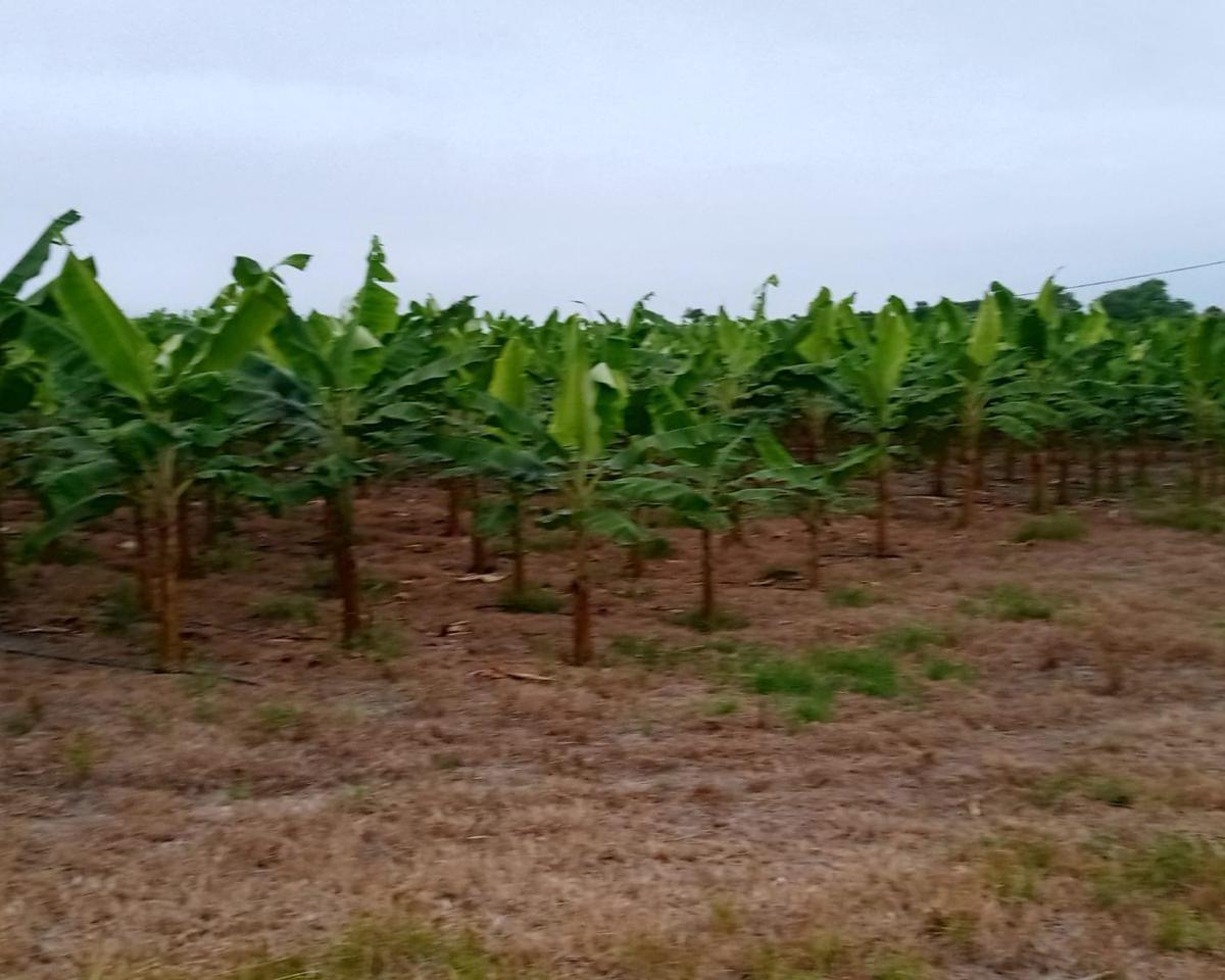 Terreno en venta en Montecristi, Manabí