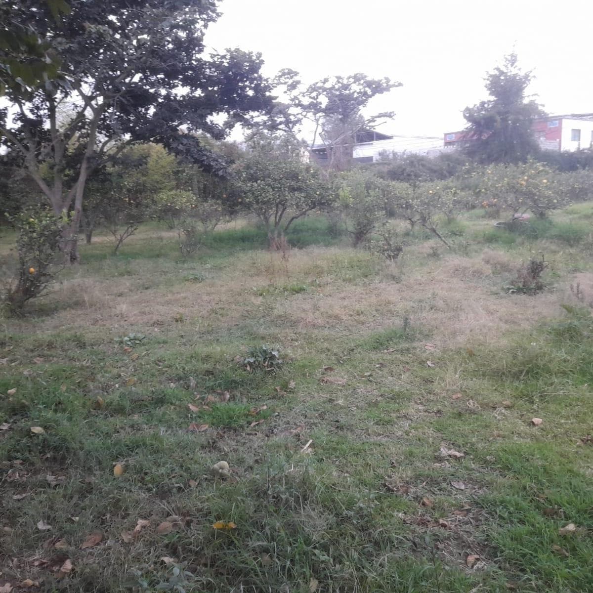 Terreno en venta en Quito, Pichincha