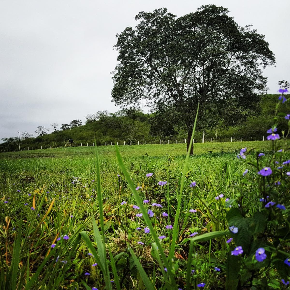 Terreno en venta en Santa Elena, Santa Elena