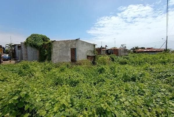 Terreno en venta en Babahoyo, Los Ríos