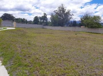 Puembo — imagen 5
