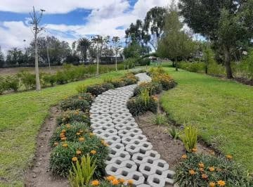 Puembo — imagen 3