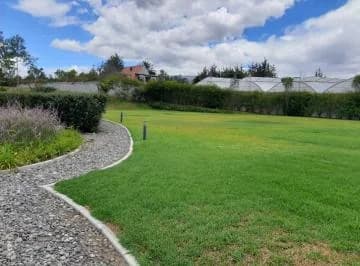 Puembo — imagen 2