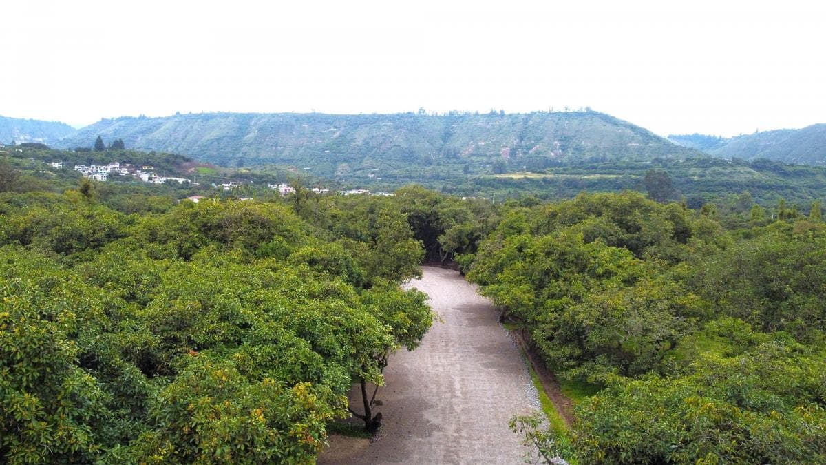 Terreno en venta en Quito, Pichincha