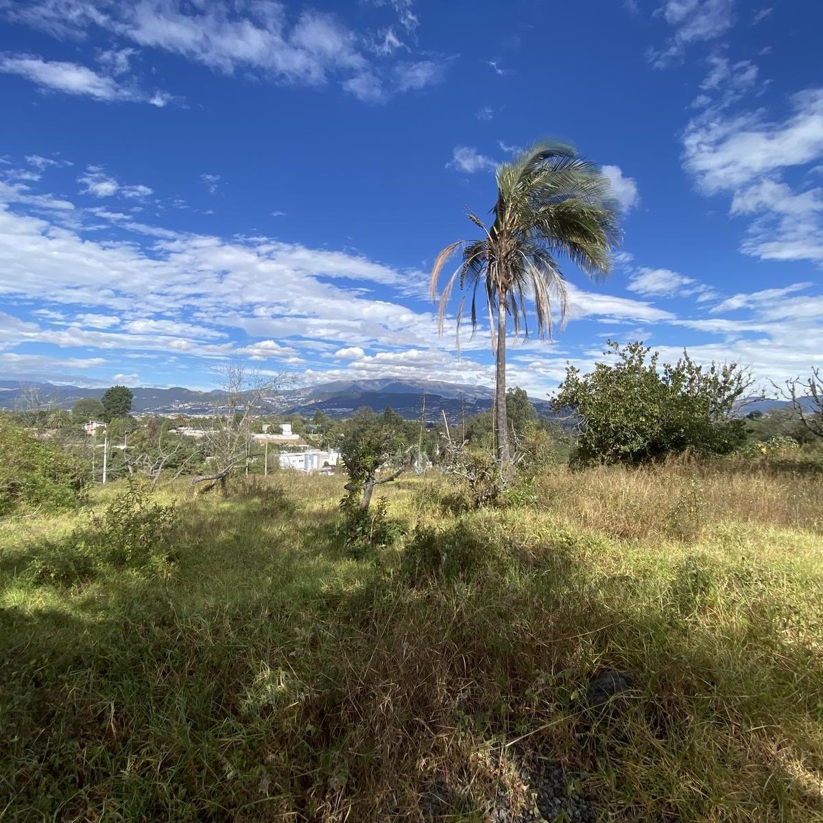 Terreno en venta en Quito, Pichincha