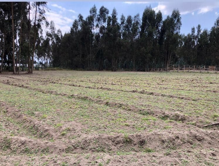 Terreno en venta en Salcedo, Cotopaxi