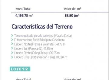 En Venta Terrenos en Vía Costa de 4.110 m - Mae. Recalde, Guayas — imagen 5