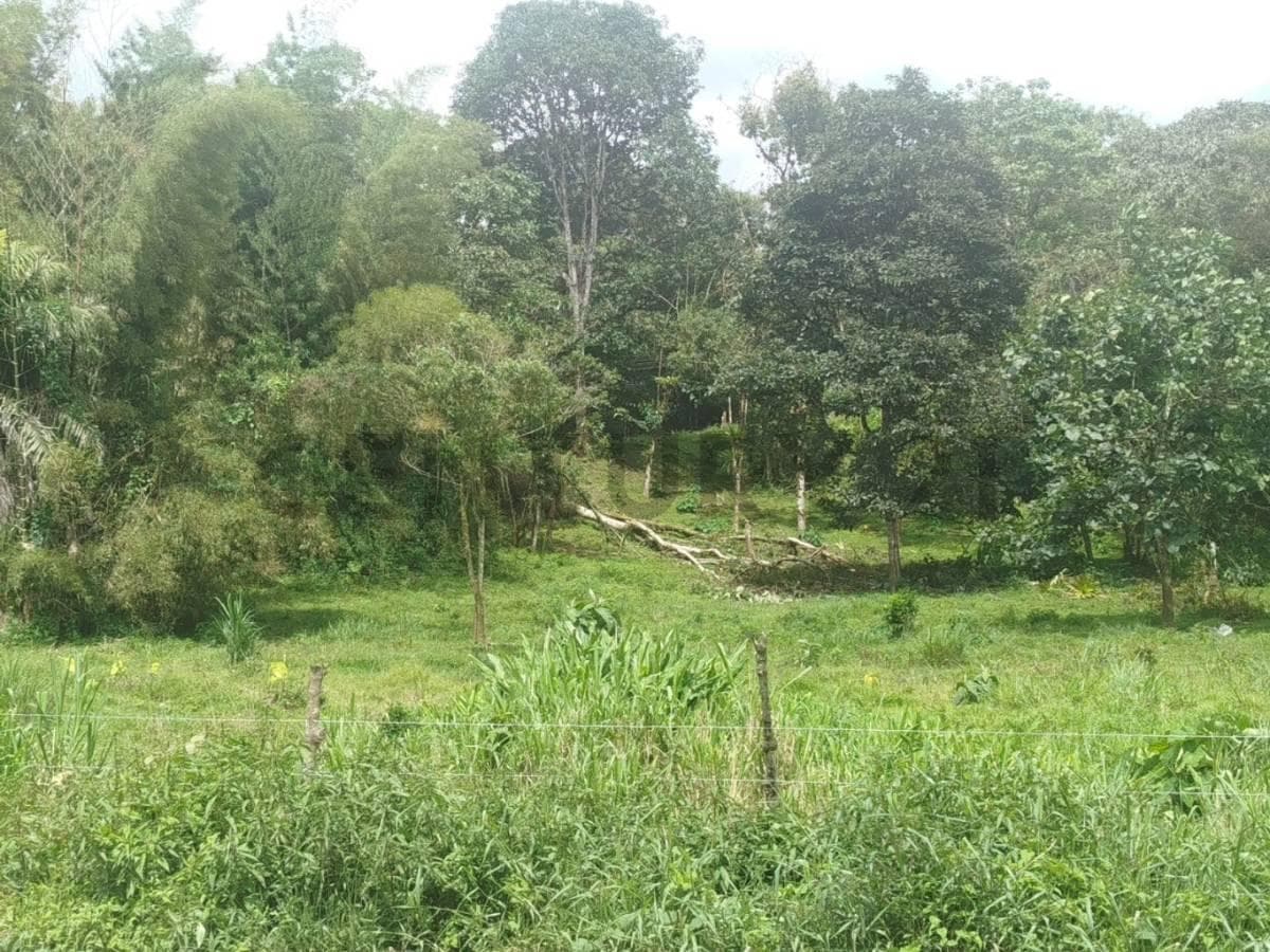 Terreno en venta en Mindo, Pichincha