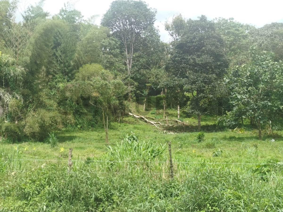 Terreno en venta en Mindo, Pichincha