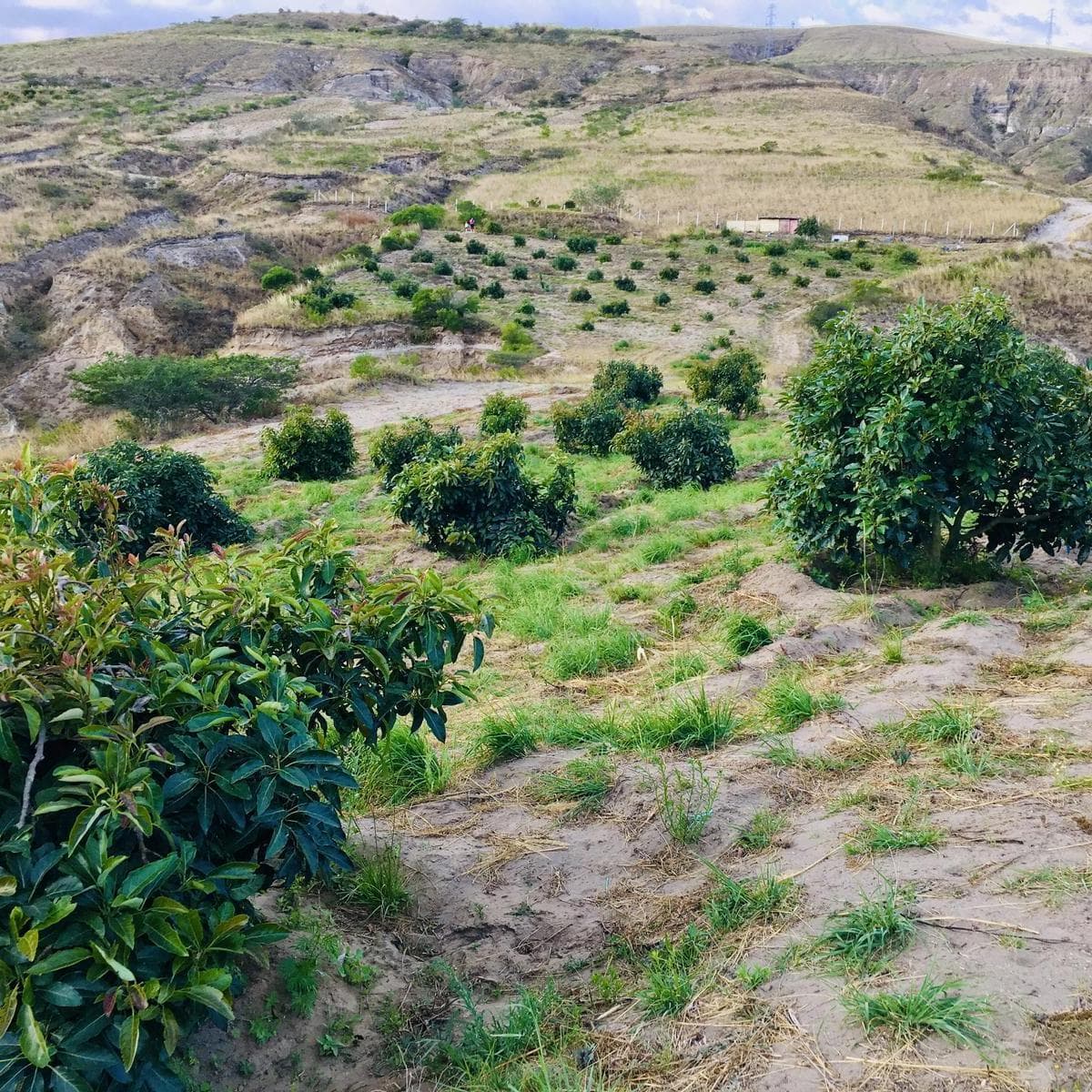 Terreno en venta en Quito, Pichincha