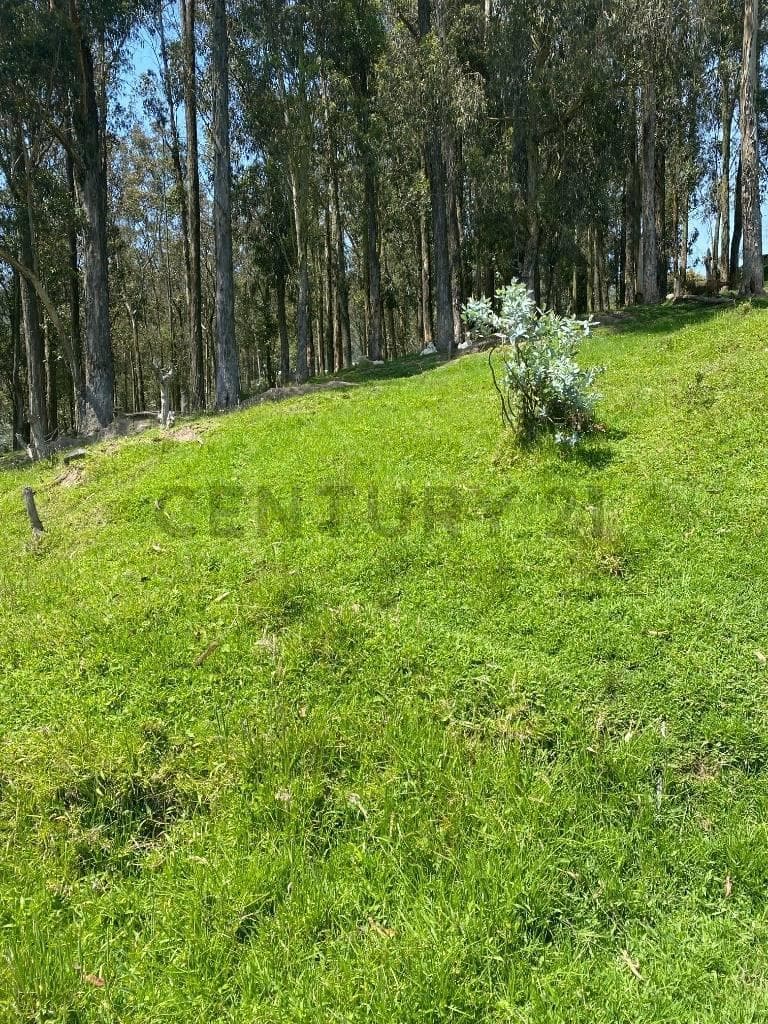 Terreno en venta en Quito, Pichincha