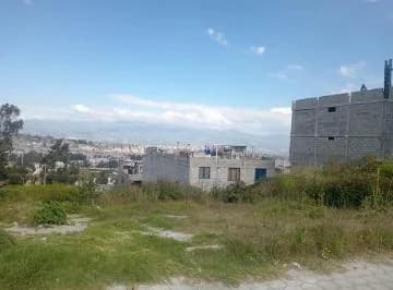 Terreno en Venta – Sector La Tola, Parroquia Calderón, Quito - Ecuador — imagen 4