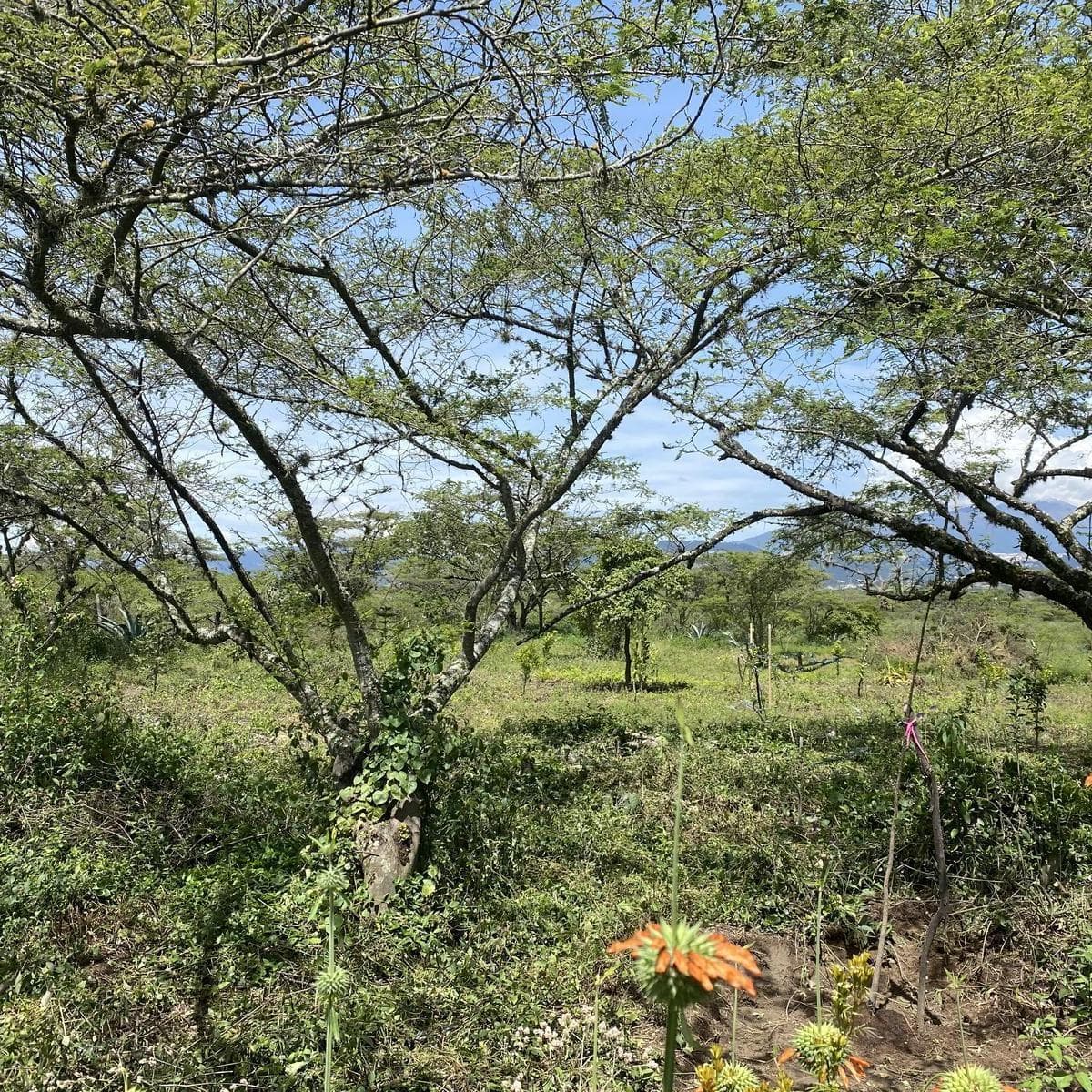 Terreno en venta en Quito, Pichincha