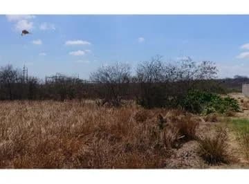 Venta de Terreno en Sector Norte de Montecristi, Manabí — imagen 4