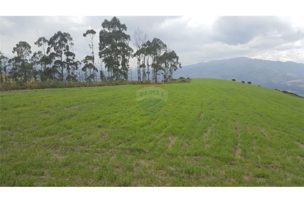 Terreno en venta en Pedro Moncayo, Pichincha