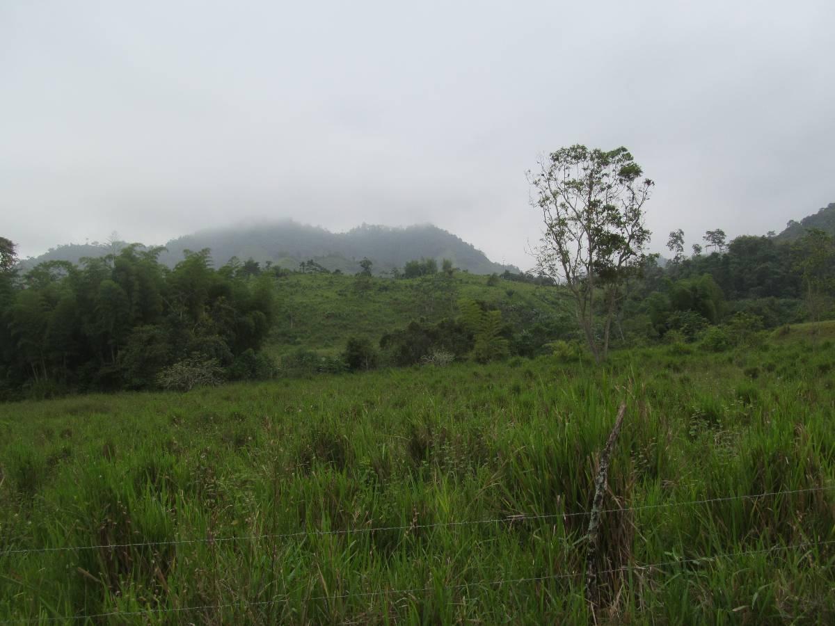 Otro en venta en Tosagua, Manabí