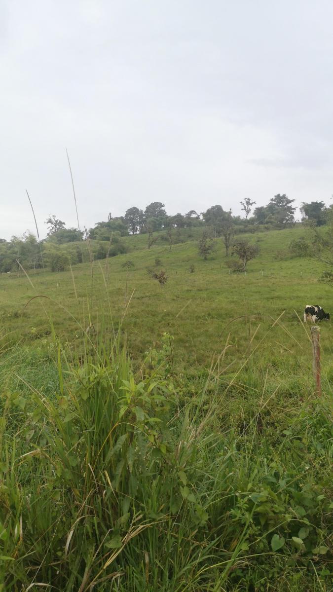 Terreno en venta en Quijos, Napo