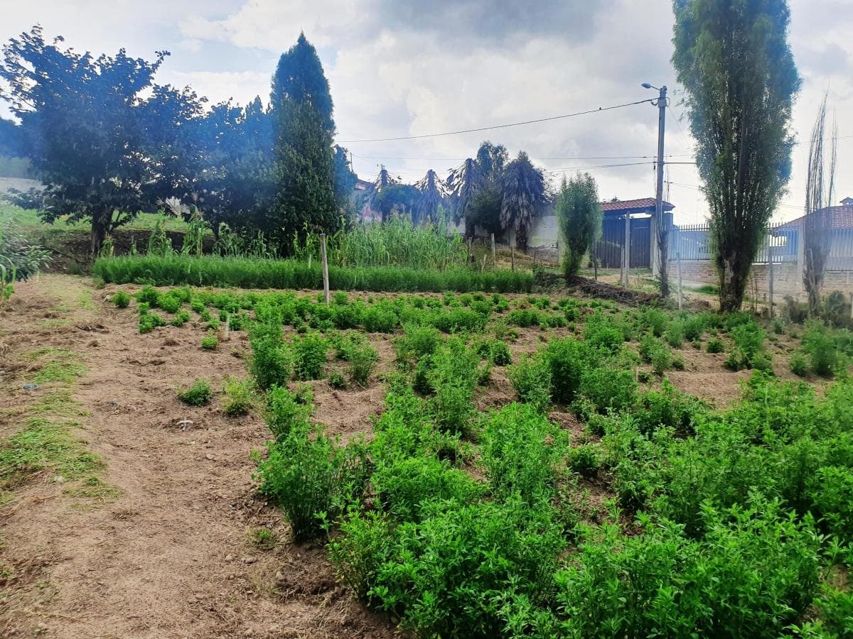 Terreno en venta en Quito, Pichincha