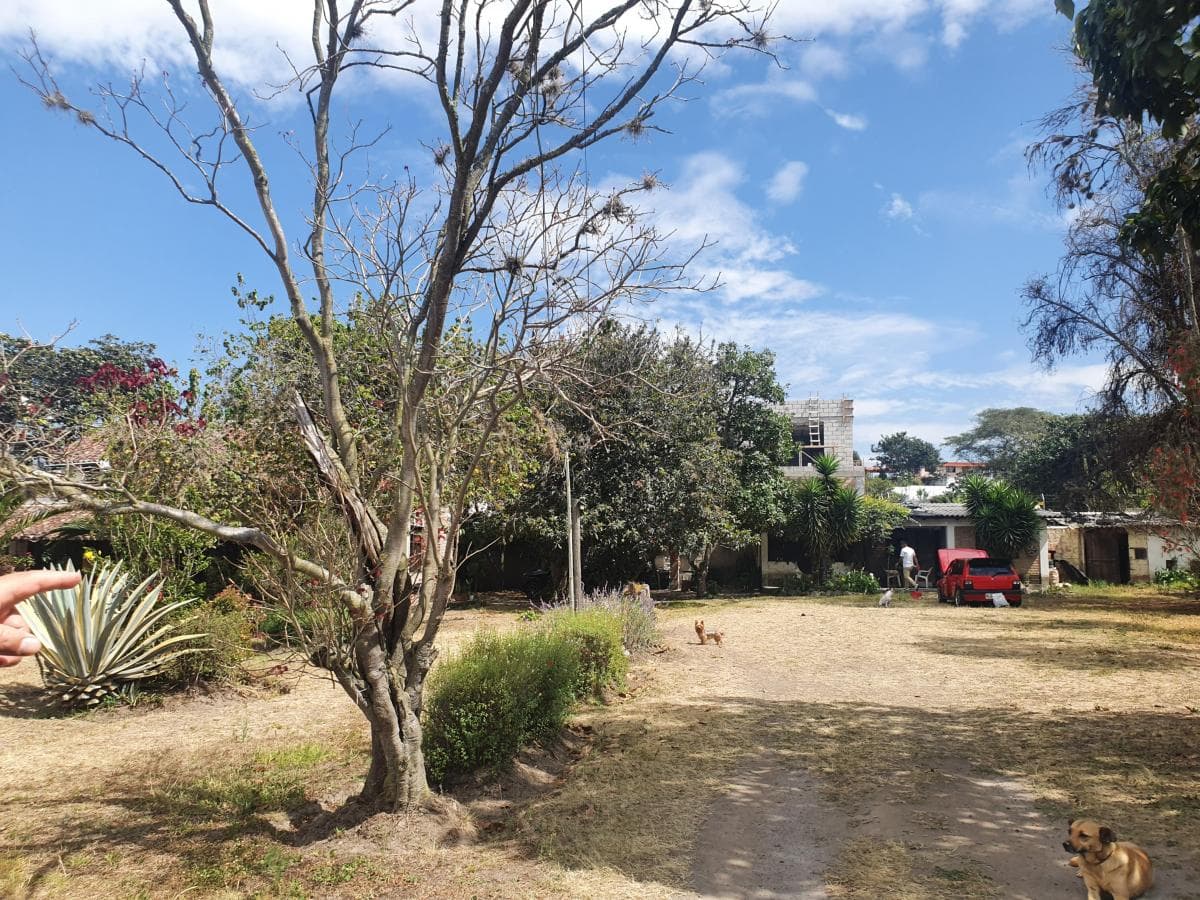 Terreno en venta en Quito, Pichincha